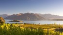 Glyn wanakashot2